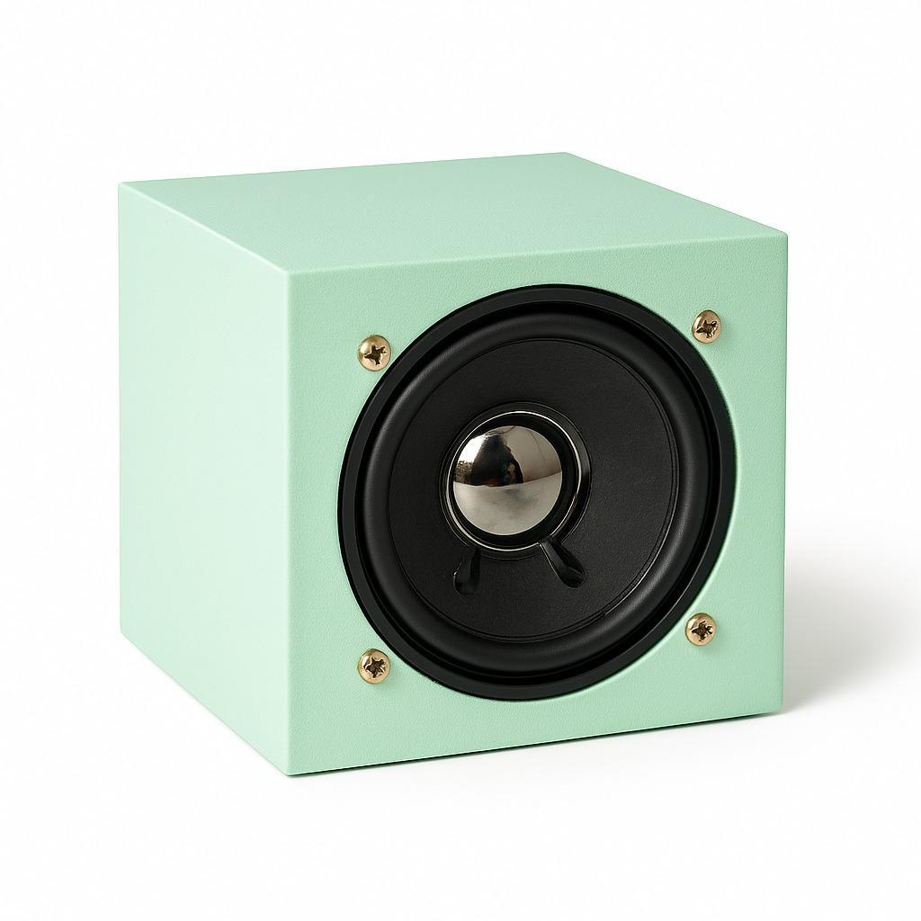 mint speaker